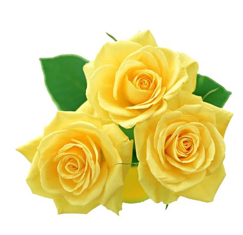Yellow Flowers Bouquet Png File Png Mart