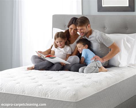 Mattress cleaning involves different types of treatment. mattress cleaning - Ecopro-carpetcleaning