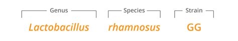 Lactobacillus Rhamnosus Gg® Database