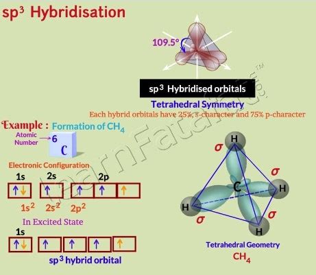 sp3-hybridization - LearnFatafat