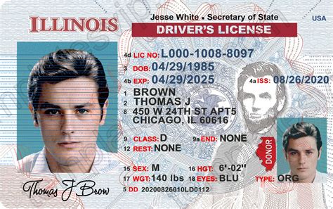 Free Illinois Drivers License Template Psd Sugarolx