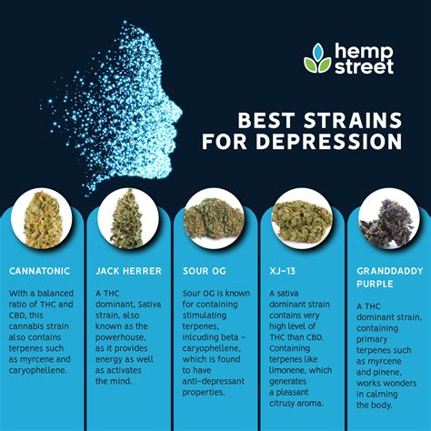 Best Cannabis Strains For Depression Hempstreet