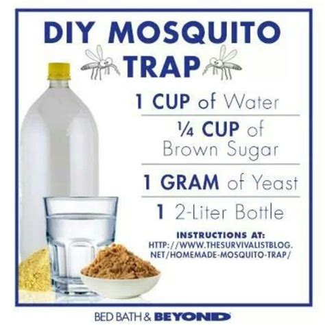 Do it yourself mosquito repellent for yard. Ready to make this now | Mosquito trap diy, Mosquito trap, Mosquito