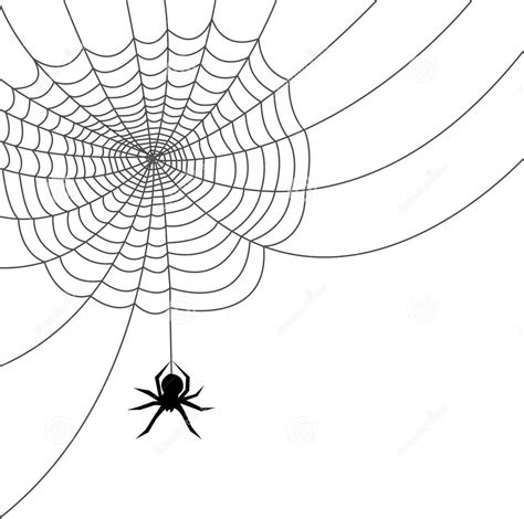 Spider Web Clipart No Background