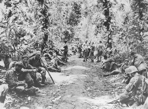Marines Battle Jungle Rest Bougainville Operation Cherry Blossom