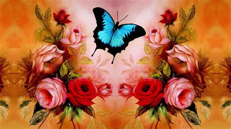 Rose And Butterfly Wallpapers Top Free Rose And Butterfly Backgrounds