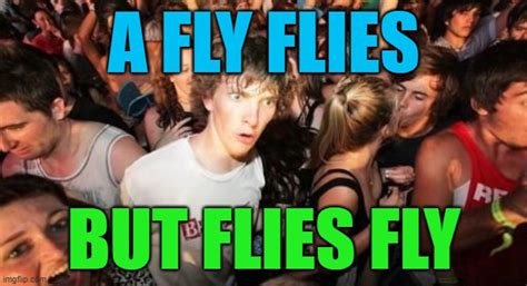 Flies Fly Imgflip