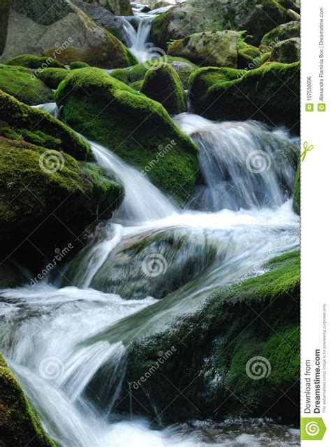 Close Up Of Moss Covered Rocks With Spring Creek Flowing Over Them