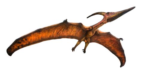 Pterodactyl Vs Pterodactyl Whats The Difference