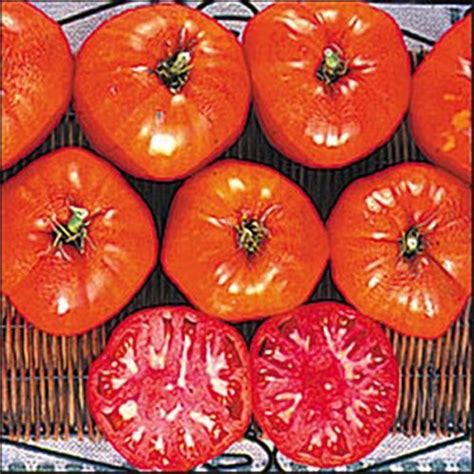 Italian Heirloom Tomato Seed Ebay