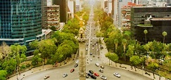 ¿Qué es un bulevar o boulevard? Definición, características y ejemplos