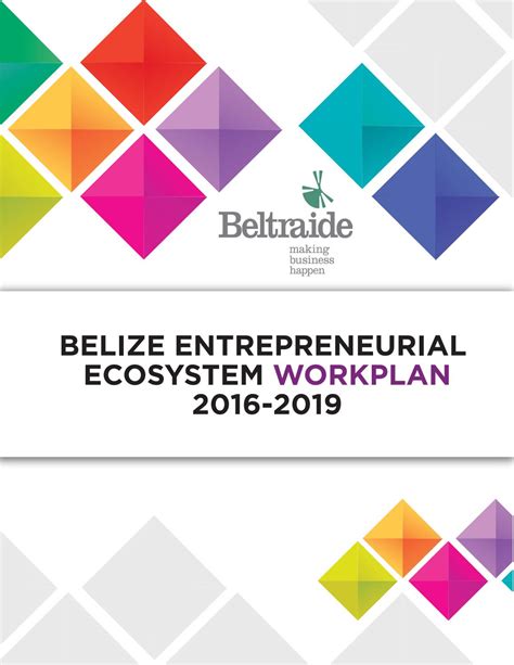 Belize Entrepreneurial Ecosystem Workplan 2016 2019 By Beltraide Issuu