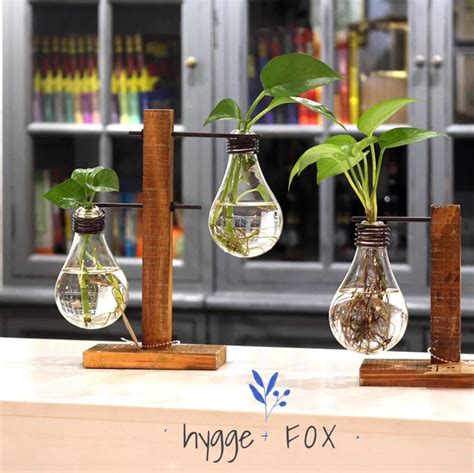 Light Bulb Vase Wood Set Water Plant Glass Vase Home Decor Etsy