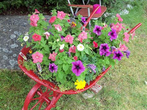 Wheelbarrow Of Flowers Photograph By Sharon Stacey