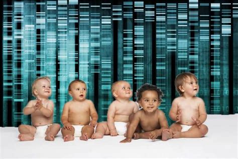 Where Do Americans Stand On Human Gene Editing Designer Babies