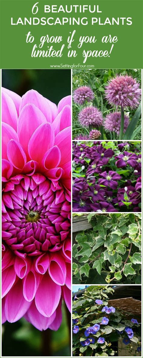 The cost to install a completely new landscape or update an existing one is dependent upon the scope of the project, the design elements you choose. 6 Small Space Landscaping Plants - Setting for Four