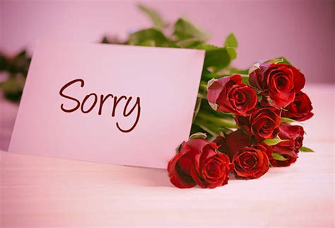 Saying Sorry With Red Roses Stock Photos Pictures And Royalty Free