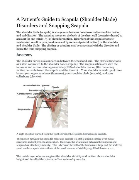 Disorders And Snapping Scapula The Shoulder Blade Scapula Is A Large