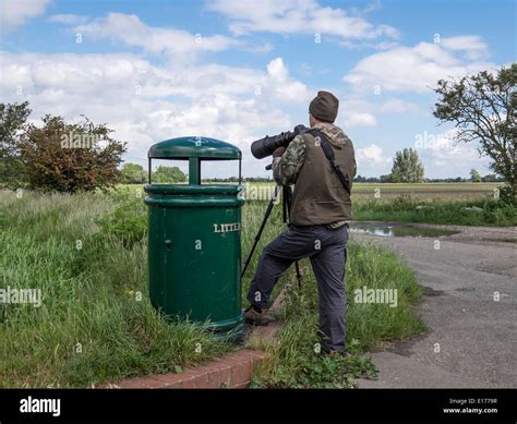 Wildlife Photographer In Action Stock Photo Alamy