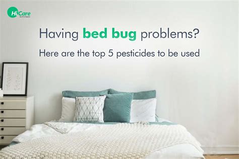 The Best Products For Bed Bug Pest Control Taylor Rose Format