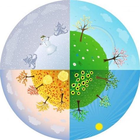 The Four Seasons Are Depicted In This Illustration
