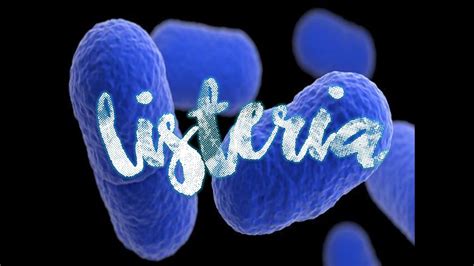 Género Listeria Y Listeria Monocytogenes Youtube