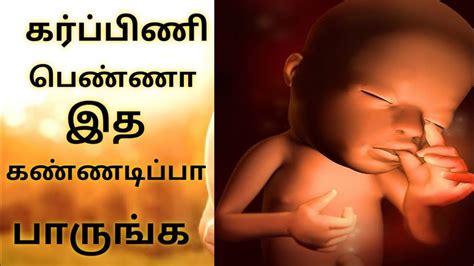 Pregnancy Tips In Tamil Pregnancy Tips Youtube