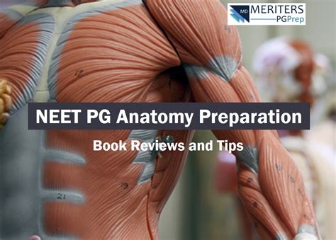 How To Prepare For Neet Pg Anatomy Book Reviews Tips And Tricks