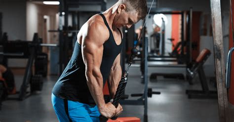 7 Best Long Head Tricep Exercises For Big Arms
