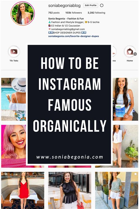 How To Become Famous On Instagram Organically How To Become A Full