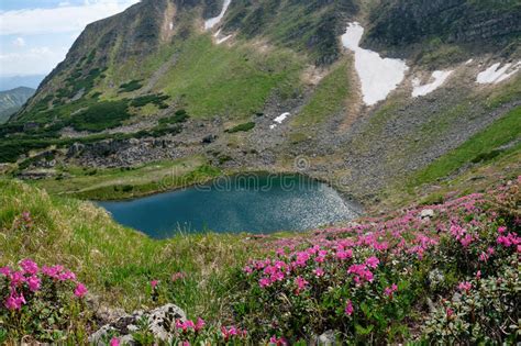 Beautiful Mountain Lake With Spring Flowers Stock Image