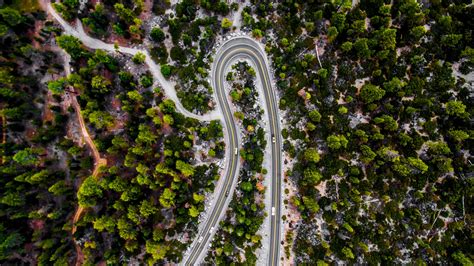 Road Forest Trees Aerial View 4k Hd Wallpaper