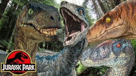 The Differences Between Velociraptors In The Jurassic Park Film Series