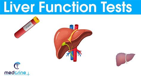 Liver Function Tests Lfts Explained Youtube