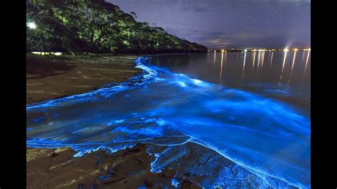 A Glow In The Dark Beach In The Maldives Youtube
