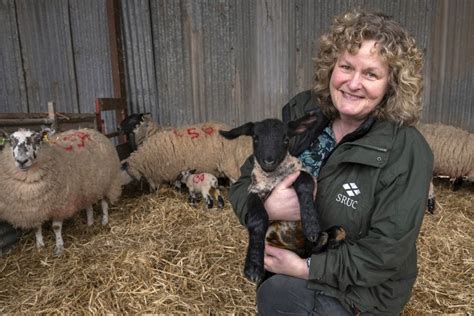 Shepherdess Turned Scientist Hailed For Livestock Work Farminguk News