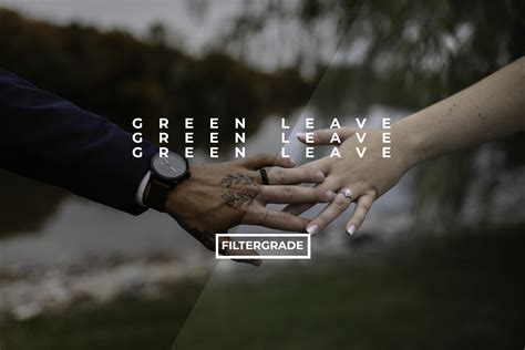 Enhance your portraits and speed up your work flow with our professional lightroom presets. GREEN LEAVE MOODY PRESET - FilterGrade