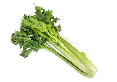 Fresh Green Celery Stem On A White Background Stock Photo Image Of