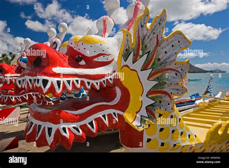 Colorful Figurehead Dragon Boats Pulled Up On Sand Waikiki Beach