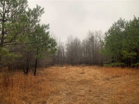 Hunting Timberland Property For Sale In Southern Arkansas