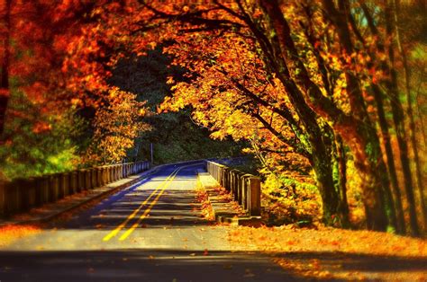 Leaves Fall Colorful Autumn Road Bridge Wallpaper