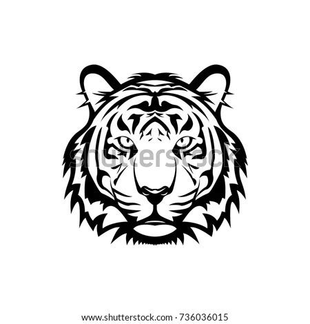 Logo Kepala Harimau Putih Gambar Desain Logo Maskot Harimau Maskot