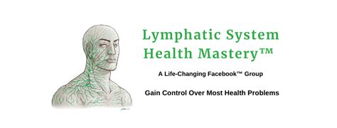 Lymph Drainage Therapy For Lymphatic System Detoxification John