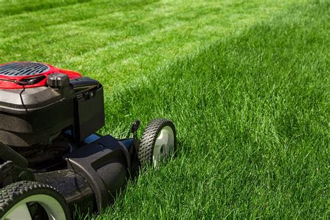 Grass works lawn care has been serving the austin area including cedar park, round rock, avery ranch, bee cave, lakeway, steiner ranch & west austin since 2007!. Summer Lawn Care & Scheduling Guide | TruGreen