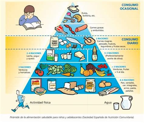 La Pirámide Alimentaria Y La Nueva Pirámide Saludable La Guía