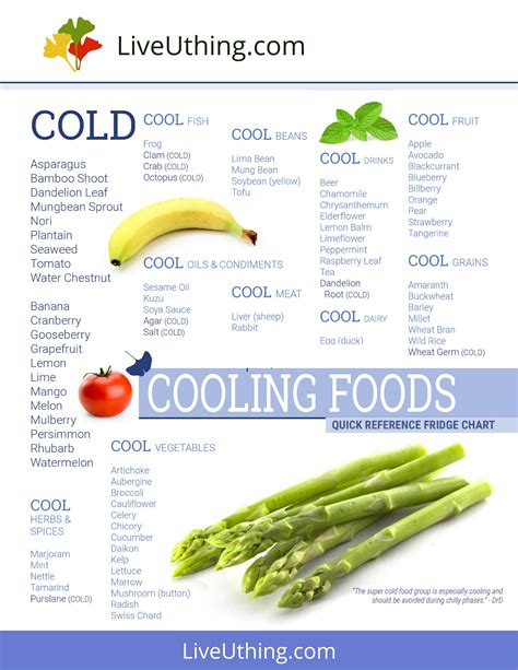 Cooling Foods Chart Live Uthing