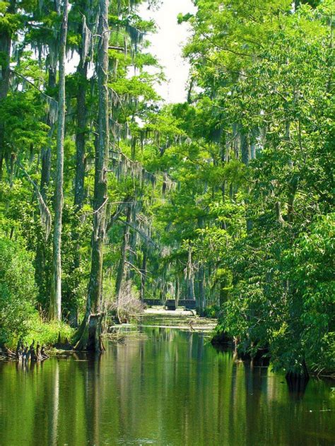 These 13 Jaw Dropping Places In Louisiana Are Downright Stunning Artofit