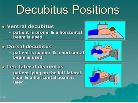 Positioning And Medical Terms Mosby Flashcards Quizlet