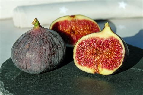 Feige Rouge De Bordeaux Ficus Carica Online Kaufen