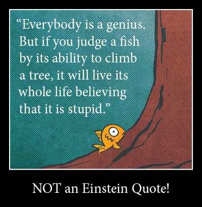 They'll continue to ponder the eternal churning question, why do i care what other people think? and learn lessons they'll carry with them far beyond middle school. Quoting Einstein: Climbing Fish